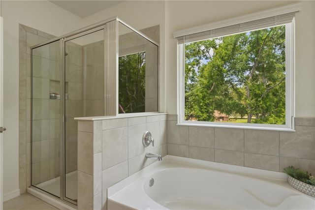 17664 NW 173RD ROAD, Alachua, FL 32615