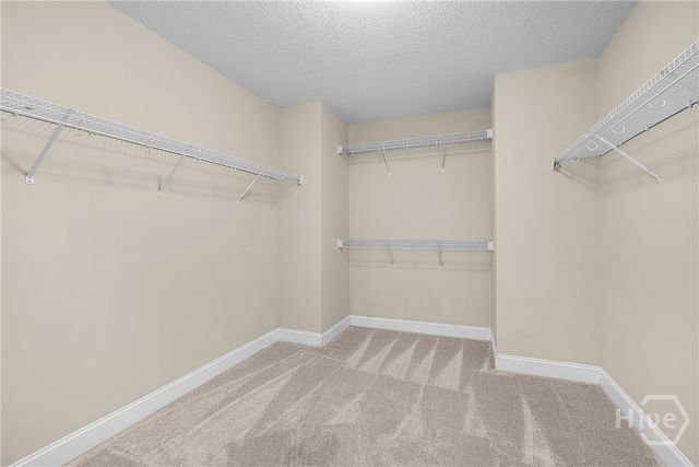 150 Blue Oak Drive, Richmond Hill, GA 31324