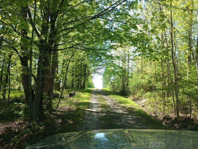 519 E Sun Oil Road, Gladwin, MI 48624