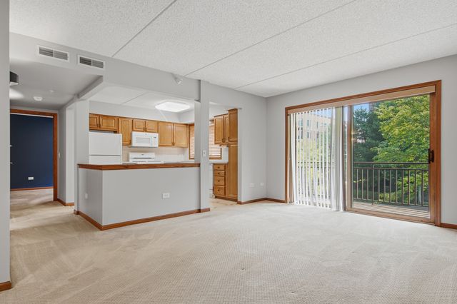 10 S Wille Street 209, Mount Prospect, IL 60056
