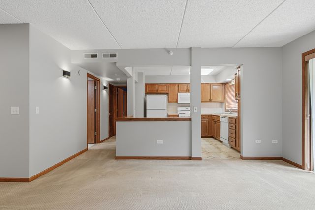 10 S Wille Street 209, Mount Prospect, IL 60056