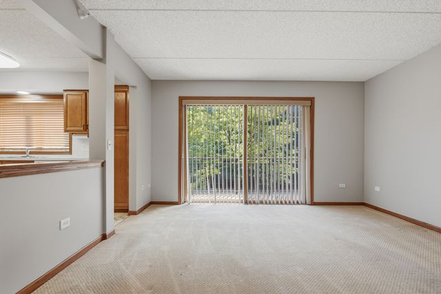 10 S Wille Street 209, Mount Prospect, IL 60056