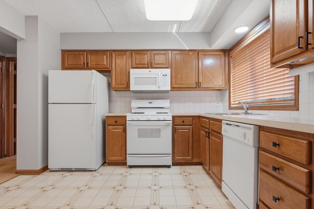 10 S Wille Street 209, Mount Prospect, IL 60056