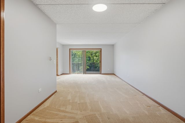 10 S Wille Street 209, Mount Prospect, IL 60056