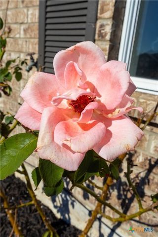 3707 Frigate Drive, Killeen, TX 76549