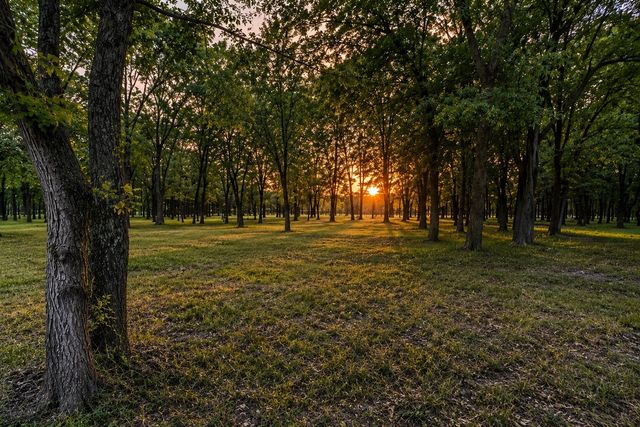 0000 Tee Taw Circle, Sherman, TX 75092