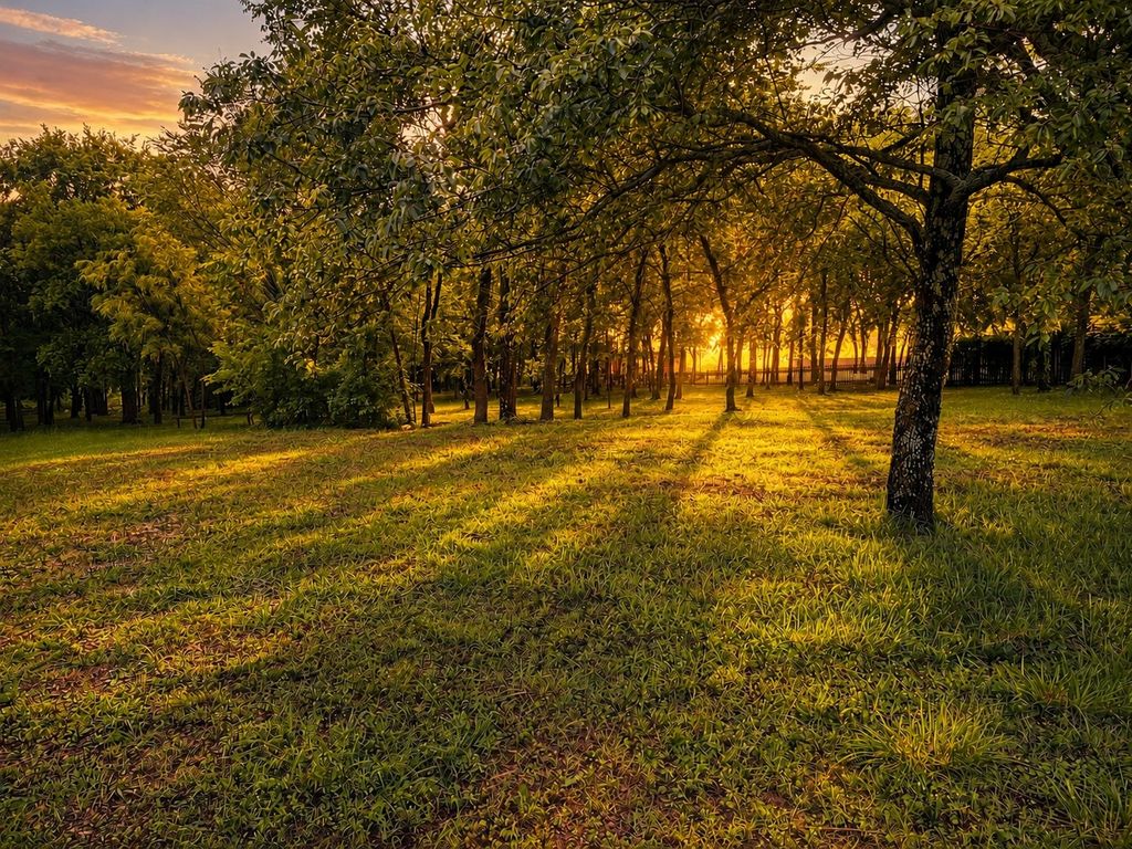 0000 Tee Taw Circle, Sherman, TX 75092