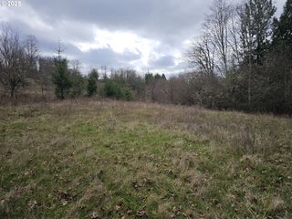 0 Ne 339th St, La Center, WA 98629