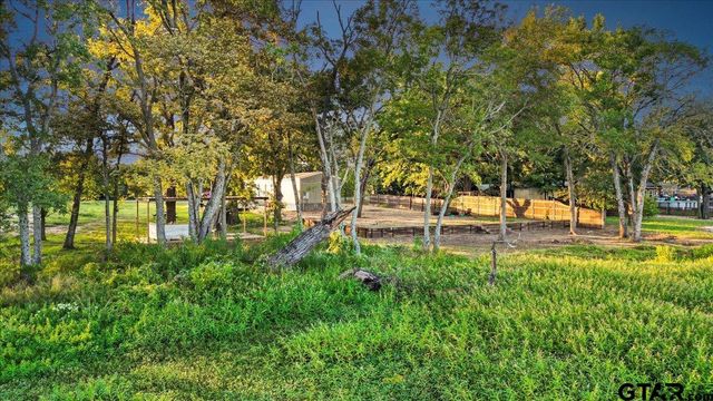 409 Willow, Wills Point, TX 75169