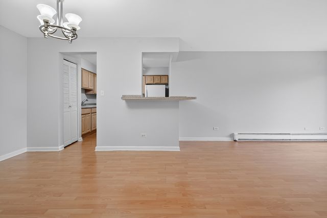 6670 S BRAINARD Avenue 209, Countryside, IL 60525