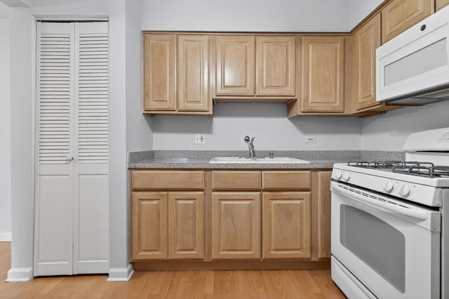 6670 S BRAINARD Avenue 209, Countryside, IL 60525