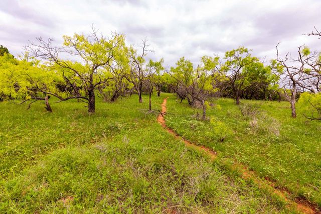 TBD 2 FM 604, Lawn, TX 79530