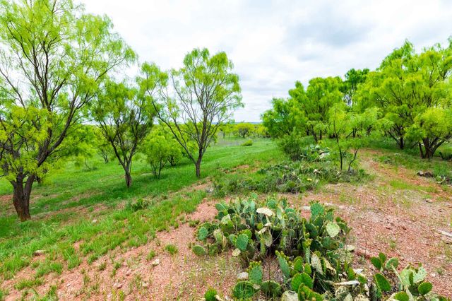 TBD 2 FM 604, Lawn, TX 79530