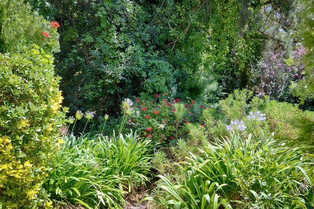 5234 Westridge Ave, Auburn, CA 95602