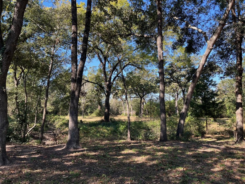 TBD County Road 427, Somerville, TX 77879