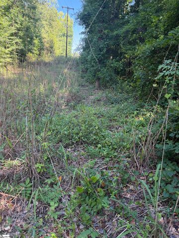 0 Buzhardt Road, Ware Shoals, SC 29692