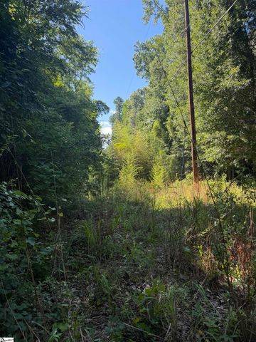 0 Buzhardt Road, Ware Shoals, SC 29692