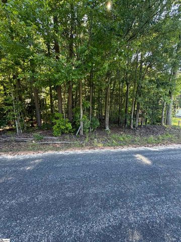 0 Buzhardt Road, Ware Shoals, SC 29692