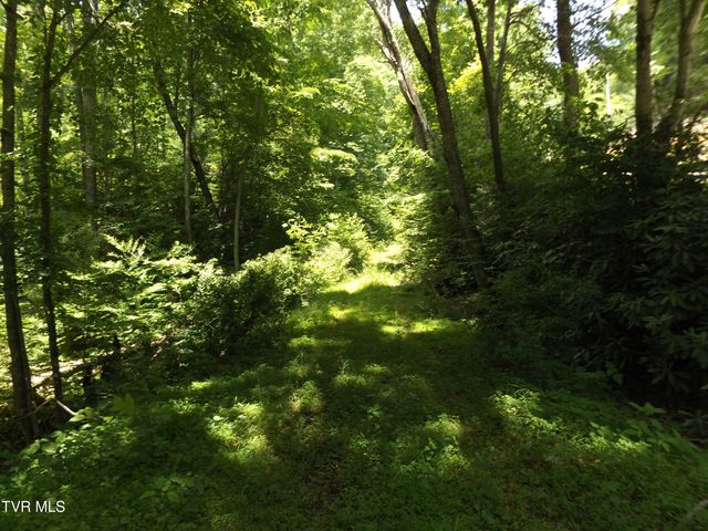 709 Heartwood Lane Lot 5, Butler, TN 37640