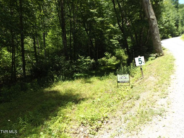 709 Heartwood Lane Lot 5, Butler, TN 37640