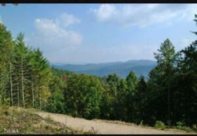 709 Heartwood Lane Lot 5, Butler, TN 37640