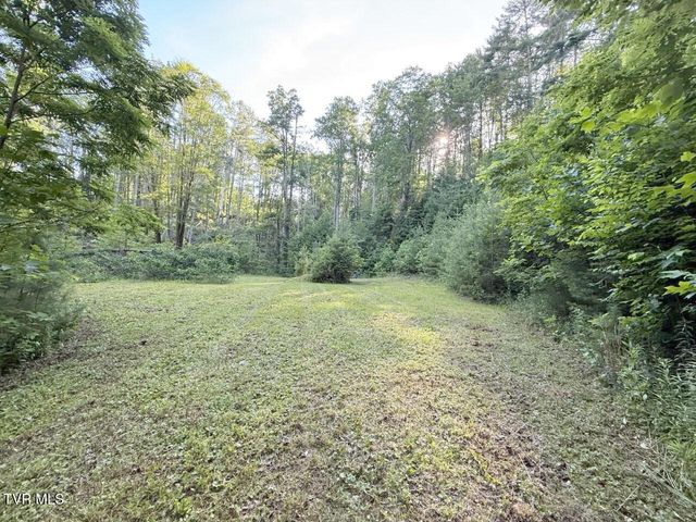 709 Heartwood Lane Lot 5, Butler, TN 37640