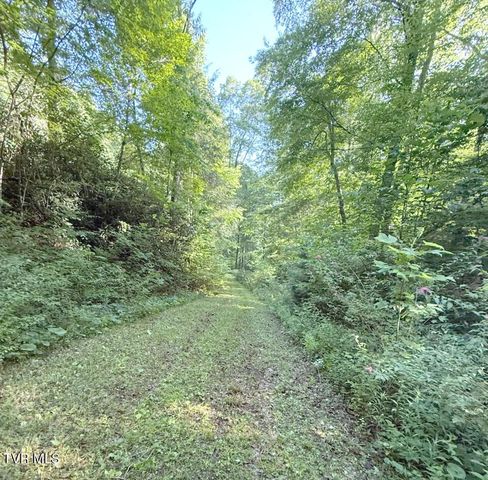 709 Heartwood Lane Lot 5, Butler, TN 37640