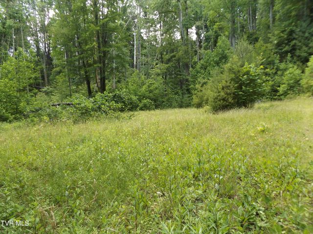709 Heartwood Lane Lot 5, Butler, TN 37640