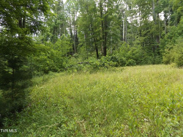 709 Heartwood Lane Lot 5, Butler, TN 37640