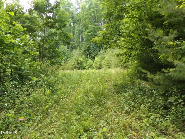 709 Heartwood Lane Lot 5, Butler, TN 37640