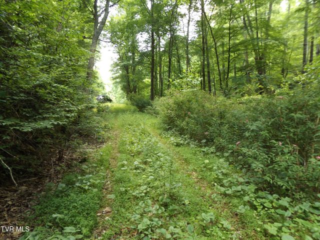 709 Heartwood Lane Lot 5, Butler, TN 37640