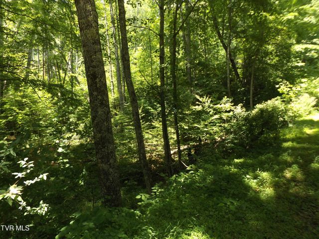 709 Heartwood Lane Lot 5, Butler, TN 37640