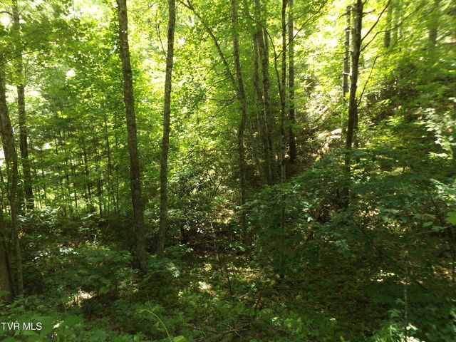 709 Heartwood Lane Lot 5, Butler, TN 37640