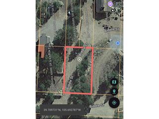 1016 Biddle St, Georgetown, CO 80444