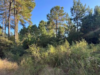 Tract 12B F M 230, Lovelady, TX 77854