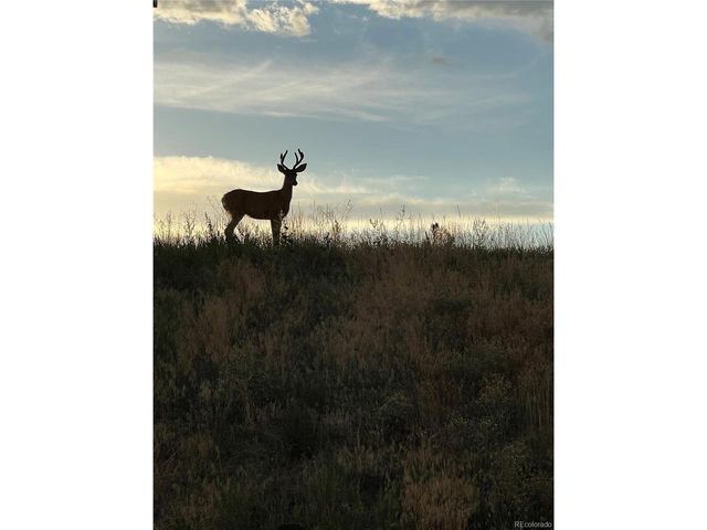 455 Rogers Way, Castle Rock, CO 80104