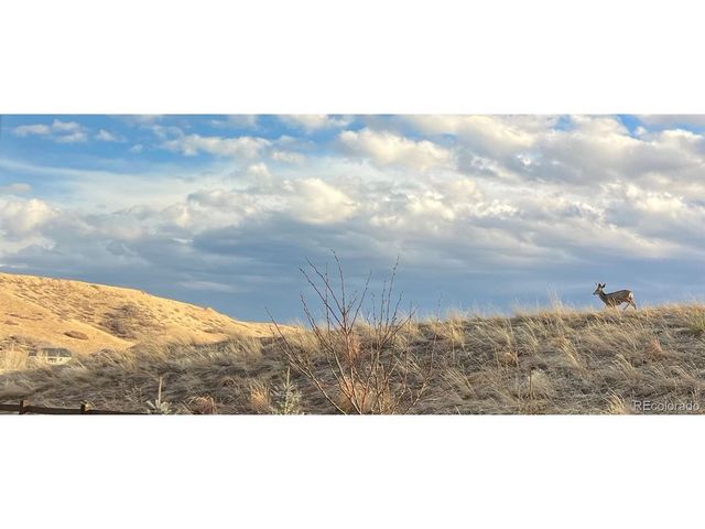 455 Rogers Way, Castle Rock, CO 80104