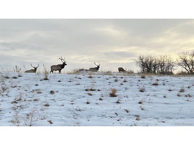 455 Rogers Way, Castle Rock, CO 80104