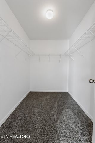 7119 Forest Willow Lane, Corryton, TN 37721