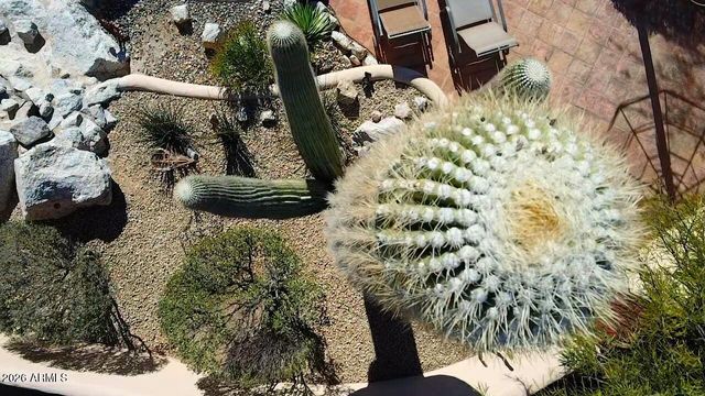 8180 E DOVE VALLEY Road, Scottsdale, AZ 85266