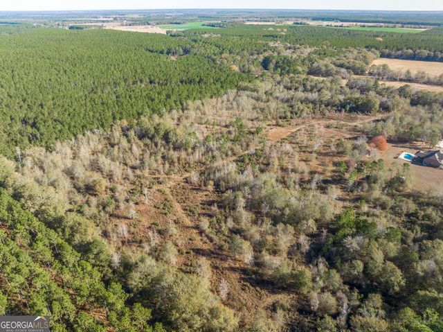 4065 Gordon Road, Abbeville, GA 31001