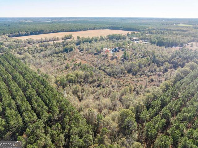 4065 Gordon Road, Abbeville, GA 31001