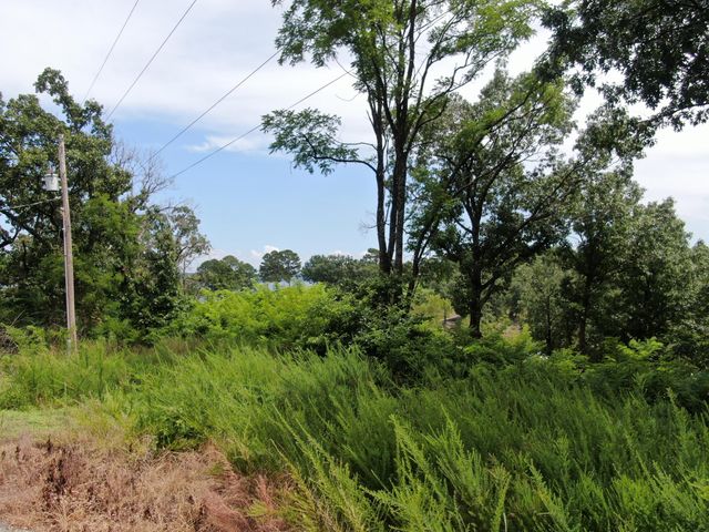 31664 S 571 Lane, Jay, OK 74346