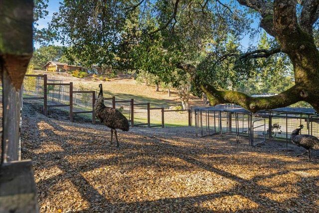 7409 Hihn Road, Ben Lomond, CA 95005