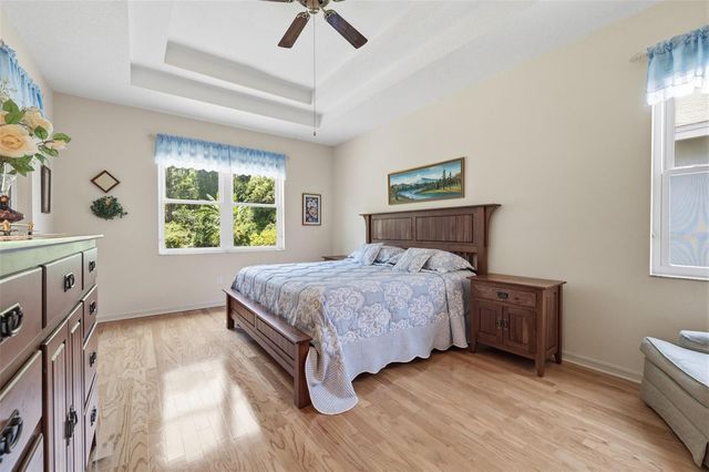 19720 MORDEN BLUSH DRIVE, Lutz, FL 33558