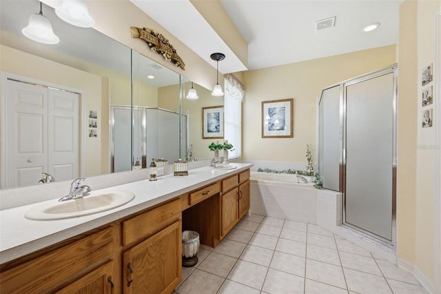19720 MORDEN BLUSH DRIVE, Lutz, FL 33558