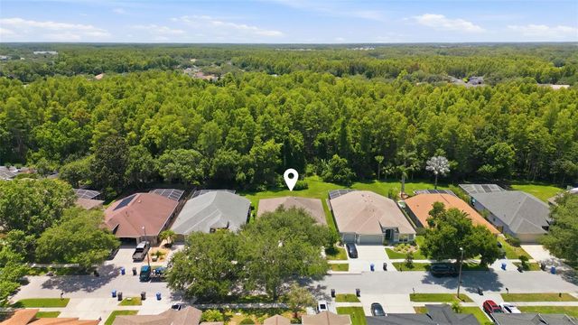 19720 MORDEN BLUSH DRIVE, Lutz, FL 33558