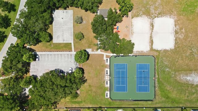 19720 MORDEN BLUSH DRIVE, Lutz, FL 33558