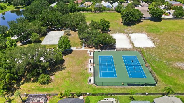 19720 MORDEN BLUSH DRIVE, Lutz, FL 33558