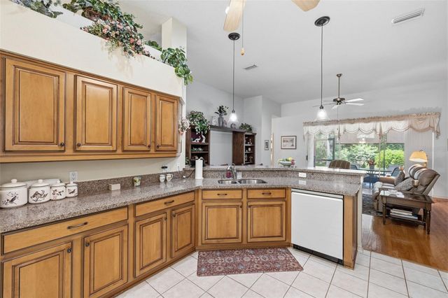 19720 MORDEN BLUSH DRIVE, Lutz, FL 33558